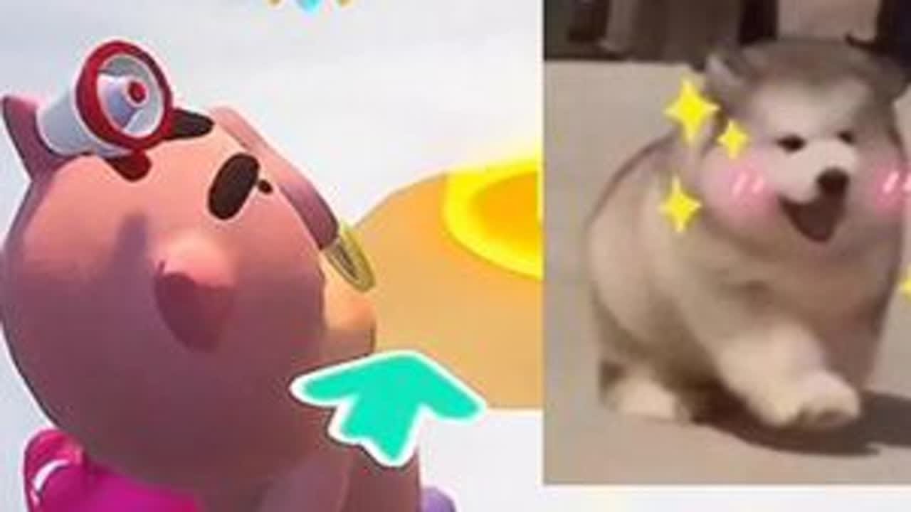 好人无一人伤亡 