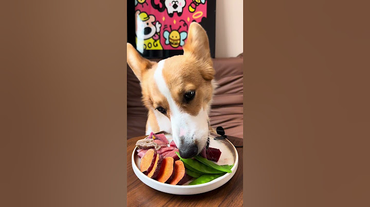 Puppies also know how to leave the tasteless food for the last. #My lens of a puppy #corgi #raw mea