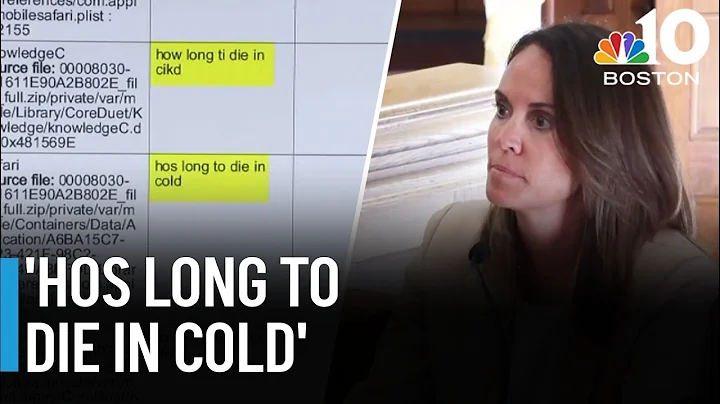 Jen McCabe cross-examined on 'hos long' search in Karen Read case | Full video