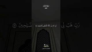 Deep Soul Healing: Peaceful Quran Recitation for Heart Serenity and Peace #Quran #Healing