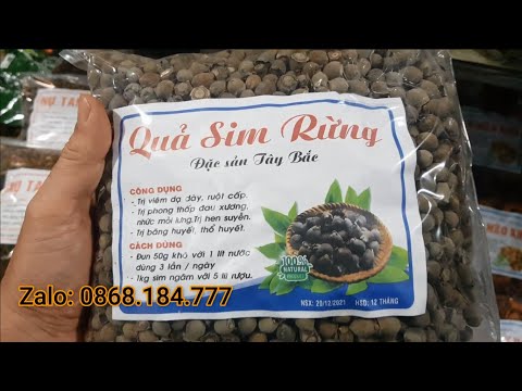 Video Sim Rừng khô Ngâm Rượu - ngày 15/7 - youtube