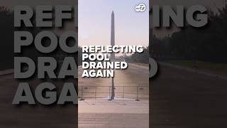 'COUNTRY HATING SLEAZEBAGS': Trump says Reflecting Pool drained again to repair damage by vandals