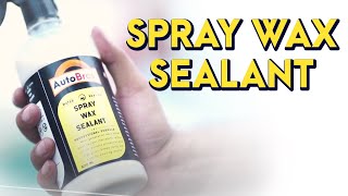 Best Multipurpose Silicone Spray Polish for Car