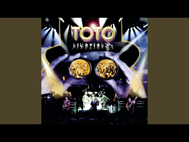 Toto - Dave Solo