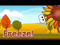 Thanksgiving Run Quiz