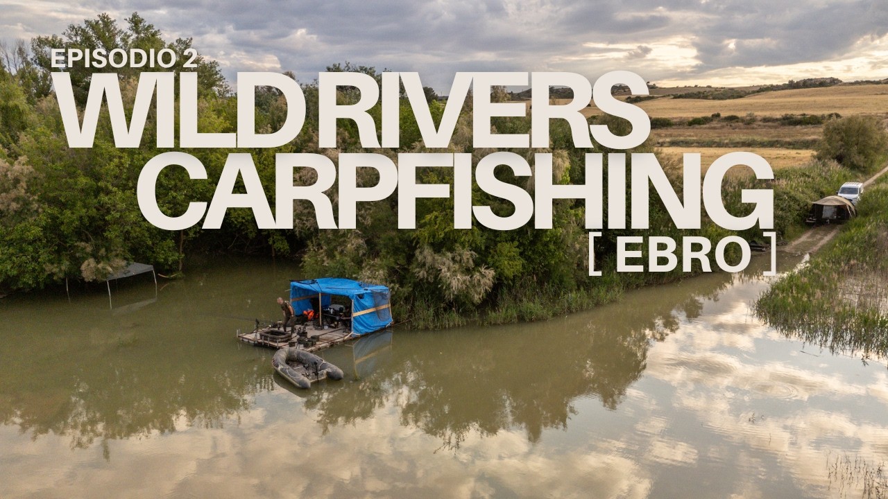 🎣 WILD RIVERS CARP FISHING | EPISODIO 2 RÍO EBRO 🎣