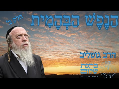 וִידֵאוֹ: ABBA: היסטוריה של יצירה, חברים, פירוק הקבוצה