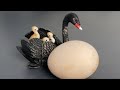 RAW EGG PEELING - Moha melo