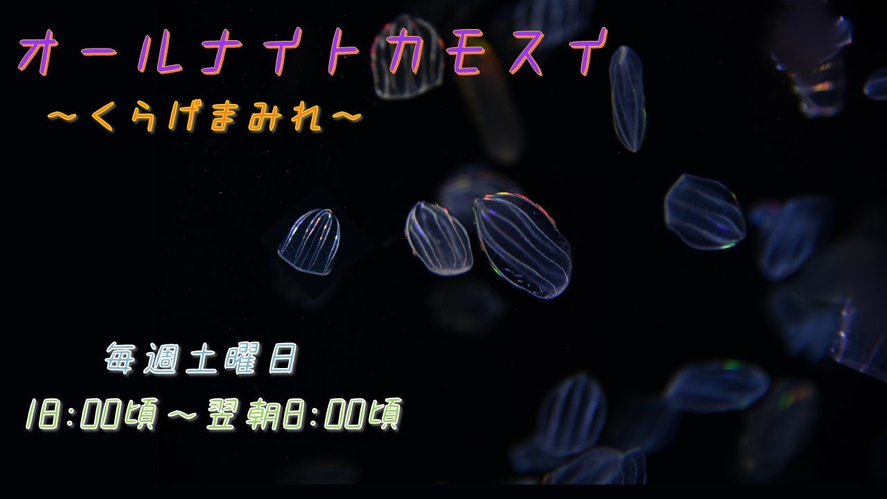  - HeartVod