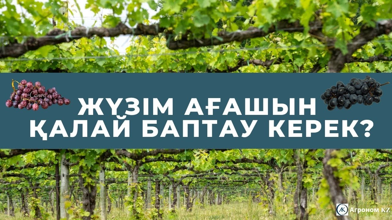 Роксана Милана порно