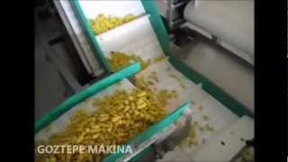 Pickle Processing Line for Pepper by GOZTEPE MAKINA.wmv