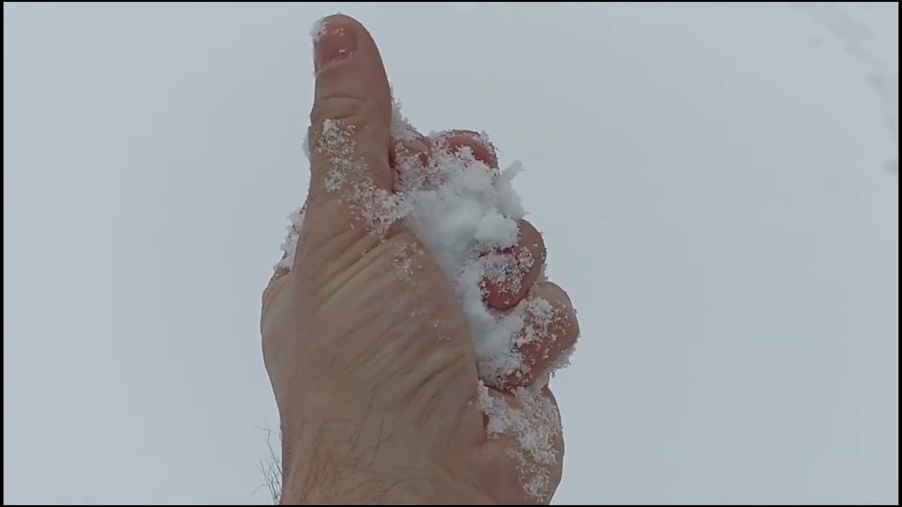 ❄️ СНЕГ СНОВА НАКРЫЛ ПРИДНЕСТРОВЬЕ!18.02.2026/Неожиданное возвращение Зимы