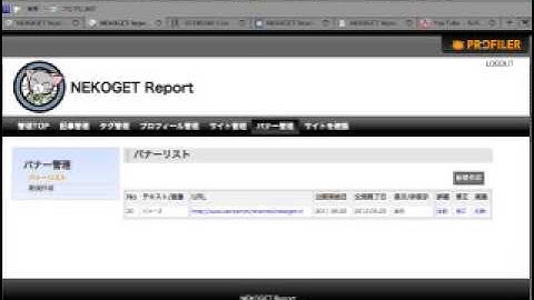 Goodby var_dump! Welcome Profiler of CodeIgniter!!!
