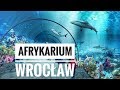 AFRYKARIUM WROCŁAW / ОКЕАНАРИУМ ВО ВРОЦЛАВЕ / ZOO / Зоопарк во Вроцлаве / Жизнь в Польше