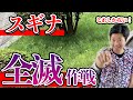 【これで解決】厄介なスギナを全て無くす夢の様な方法を伝授します【庭師が解説】