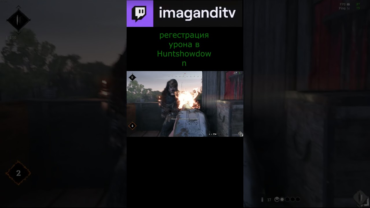 рега в hunt showdown 