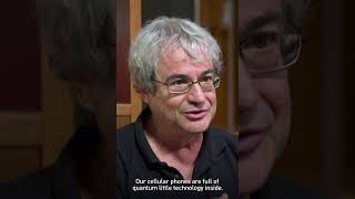 Is quantum mechanics impossible to understand? Wealth