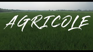 Introduction to Agronomy