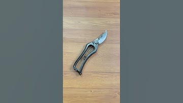 Cắt cành Kanetsugu kiểu A #0376628645 @dungcubonsaihaidu #donghesuutam #kéocắtcành #hàngnhậtbãi