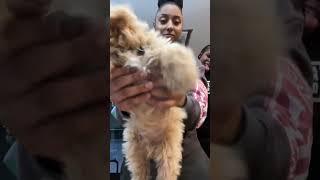 Mackenly Randolph W Juju Watkins Fall Back