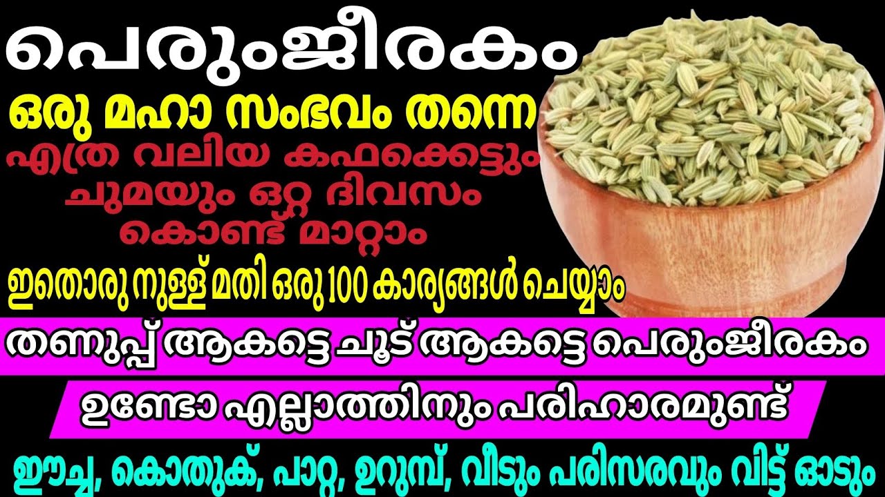 പെരുംജീരകം ഉണ്ടോ? തണുപ്പ്ആകട്ടെ ചൂട്ആകട്ടെ ഒരു നുള്ള് മതി 100 കാര്യങ്ങൾ ചെയ്യാം Uses Of Fennel Seeds