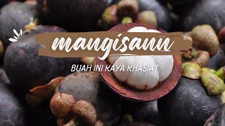 buah manggis yg segar dan manis