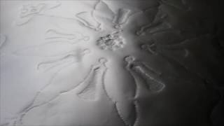 Hawalayya Kteer by Zaed Naes