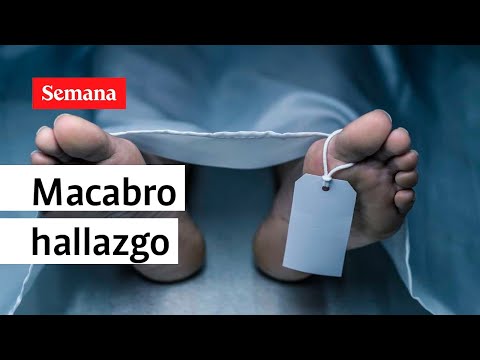 Macabro hallazgo en Bogotá: ¿Tren de Aragua detrás? | Semana Noticias