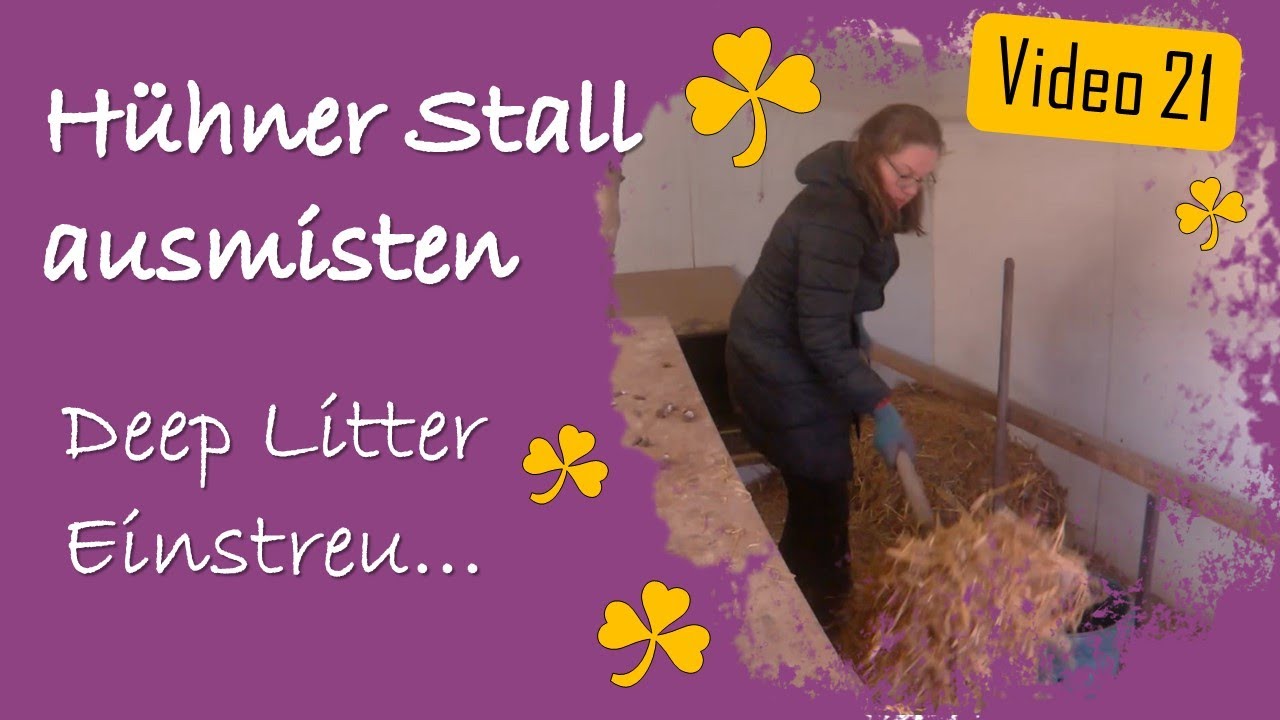 Hühner 21 - Stall ausmisten nach Mauser - Welches Einstreu? Stroh & Milben?
