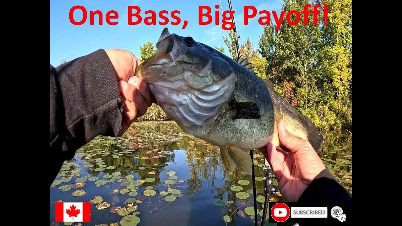 One Bass, Big Payoff!