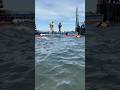 🐳🥳 Ostsee-Wal "Timmy" bald endlich im Atlantik? #shorts #wal #timmy #rettung
