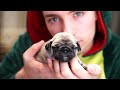 Die HUNDE WELPEN sind DA! | Welpen Vlog #1