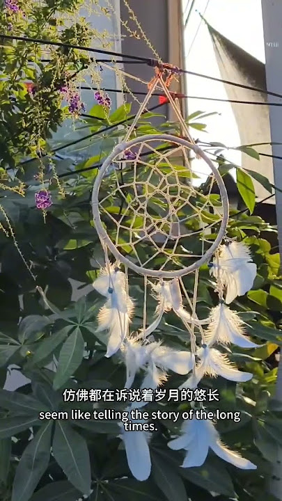 Step Back in Time: Explore the Vintage Charm of Tangren Cultural Park in Nanning