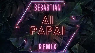 Anitta Feat Mc Danny & Hitmaker - Ai Papai Sebastian Remix