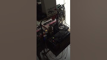 bad Jam / Dark Energy - Nyborg12 - Dreadbox #electronicmusic #music #analogsynth #akai #techno