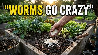 The Forgotten Rice Soil Trick That Explodes Worm Populations Overnight