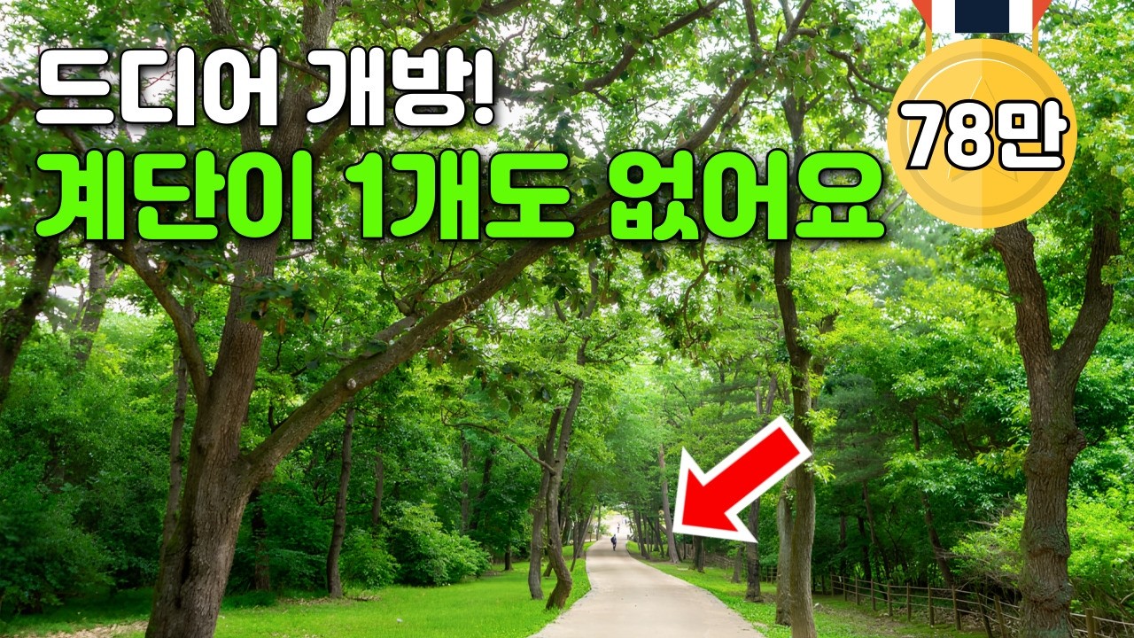 🚇 지하철역 10분! 딱 6주만 개방해요. 세계가 인정한 특별한 숲길 구간 4km 트레킹코스ㅣ당일치기 대중교통 여행