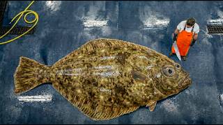 600-LB Giant Halibut: Catch, Fillet & Cook – Insane Butchery of the Ocean’s Largest Flatfish