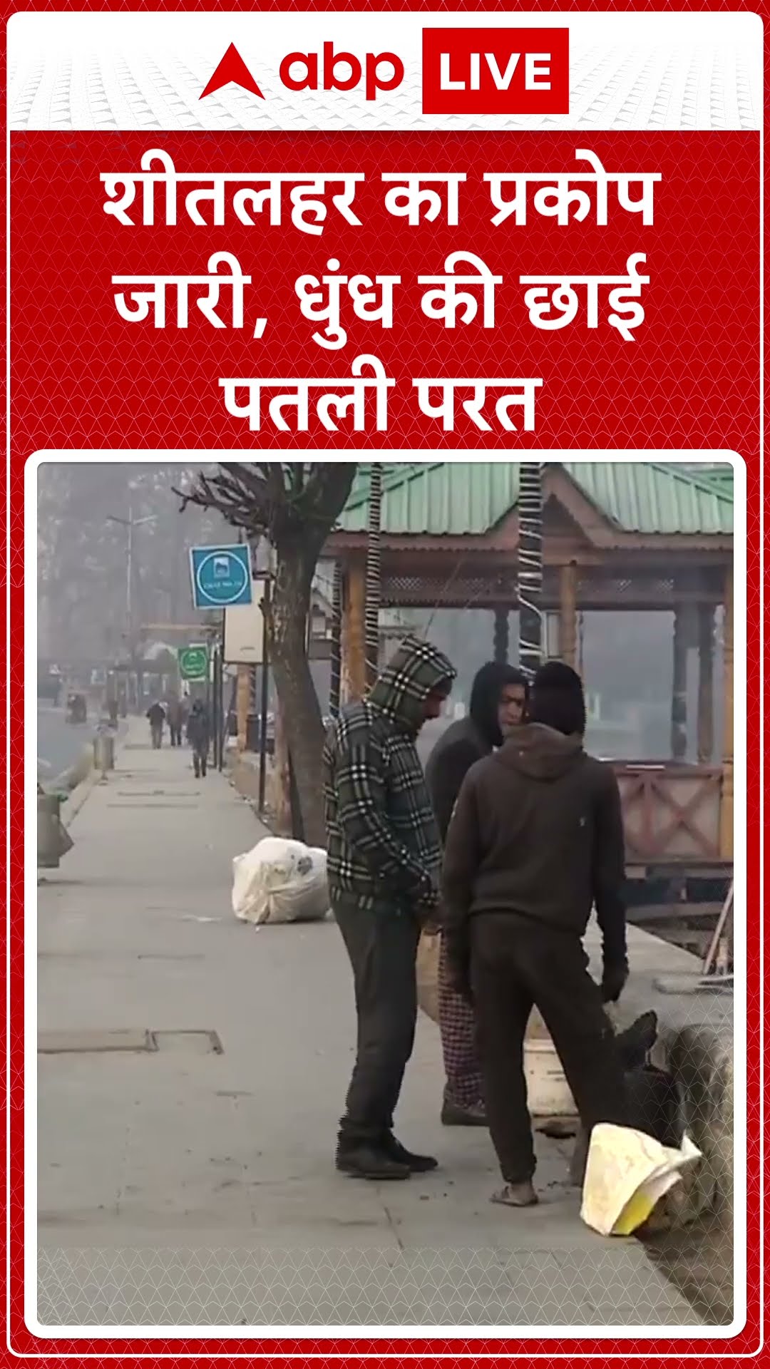 Jammu Kashmir: शीतलहर का प्रकोप जारी, धुंध की छाई पतली परत | ABP Shorts