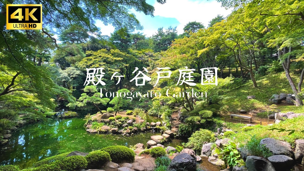 【Japanese-style Garden】殿ヶ谷戸庭園/ゆったり庭園を散策【move to japan】#summer