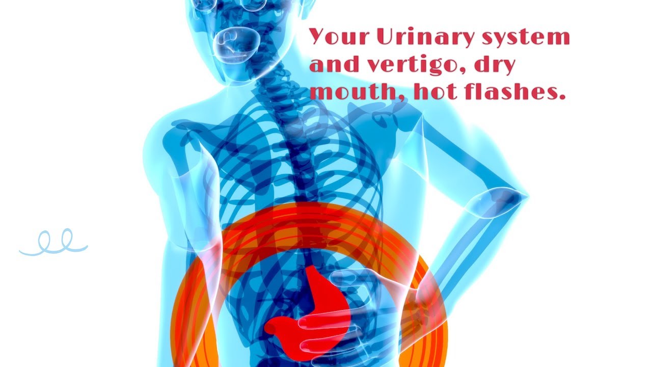 Your Urinary system and vertigo, dry mouth and hot flashes YouTube