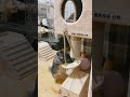 【친칠라/chinchilla】오늘의 모리