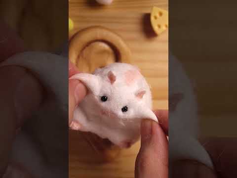 The Best ASMR Shorts Video