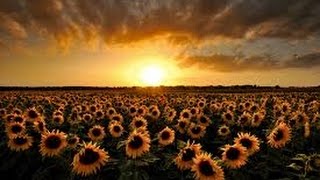 MIA PLANEDA TRANSIRO  –  EN KIUJ DATOJ OKAZOS LA ĈEFAJ EVENTOJ DE LA GEOTRANSIRA KALENDARO?