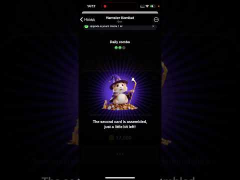 Комбо карти в Hamster Kombat на 10 та 11 липня хамстер хосмяк новое комбо 10.07 11.07 #hamsterkombat