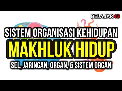 Sistem Organisasi Kehidupan Makhluk Hidup (Sel, Jaringan, Organ, dan Sistem Organ)