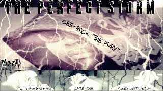 THE PERFECT STORM - Cee-Rock &#39;&#39;The Fury&#39;&#39; feat. Tah Phrum Duh Bush, Coole High &amp; Mikey D&#39;Struction