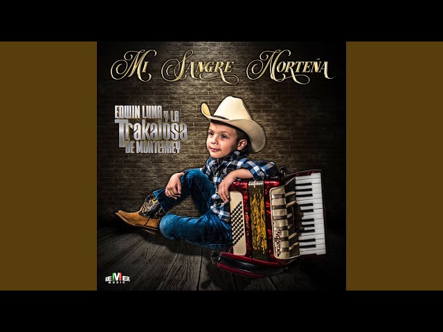 Edwin Luna y La Trakalosa de Monterrey - Que Me Lleven Canciones