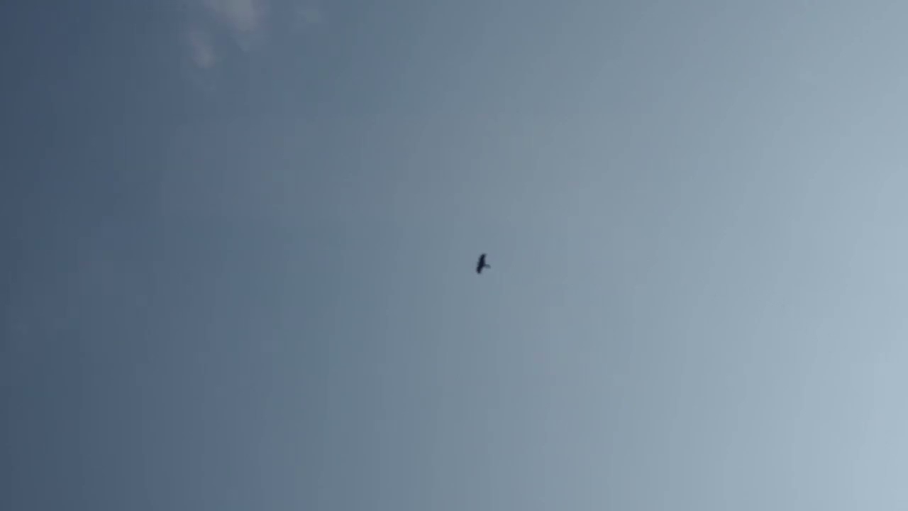 #2540 SKY HIMMEL CIEL 天空 하늘 空