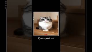 Очень Культурный Кот #Komaru  #Кот #Комару #Shorts